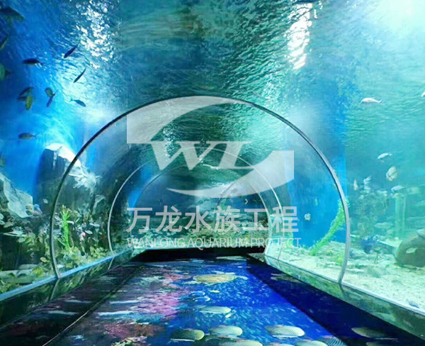 杭州大型亚克力鱼缸