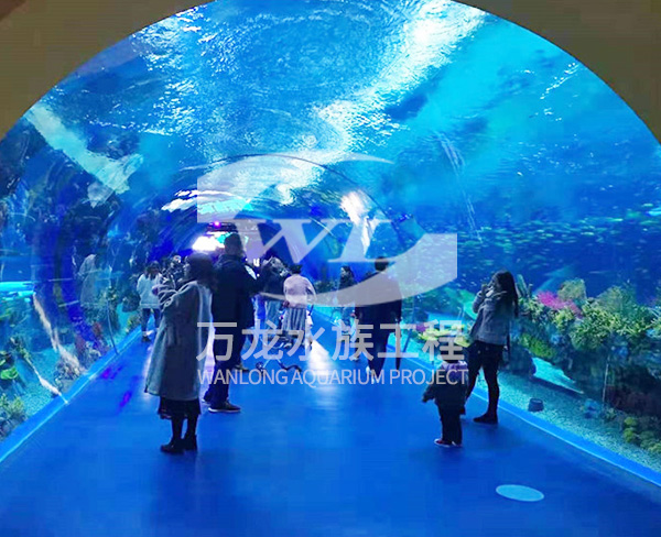 杭州大型亚克力鱼缸
