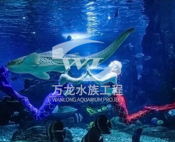 杭州大型海洋主题公园