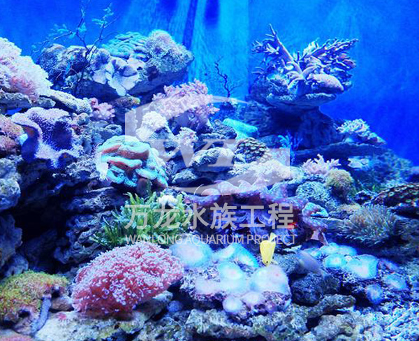 杭州海底景观设计