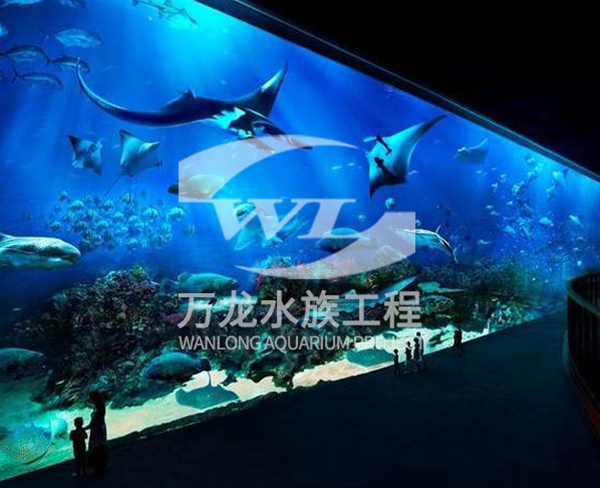 杭州西宁万达海底景观设计