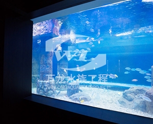 杭州大型亚克力...