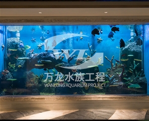 杭州海底景观设计