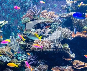 杭州海底景观设计