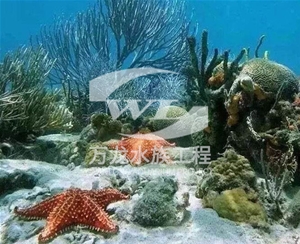 杭州海底景观设计