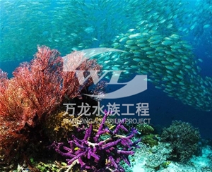 杭州海底景观设计