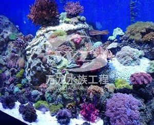 杭州海底景观设计