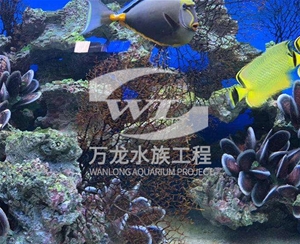 杭州海底景观设计