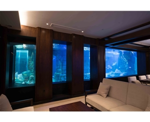 吃奶鱼鱼缸缸体表面发黄怎么解决